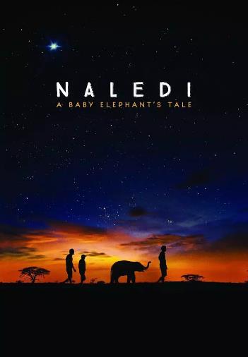 选择文件 纳勒迪：一只小象的故事